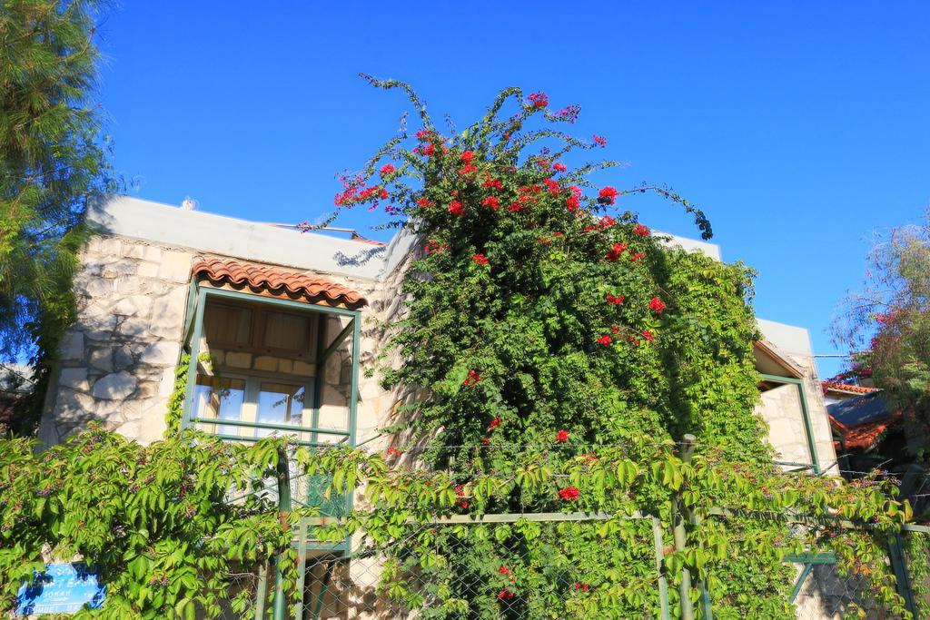Green House Apart Hotel Gumbet Exterior photo